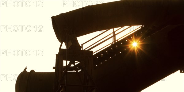The sun shines through large former industrial pipes in the Westpark with a pigeon, industrial