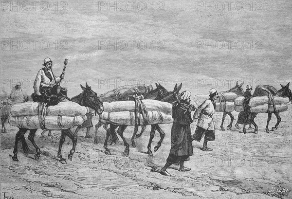 Transport of Shiite corpses to Kerbala, Kerbela, one of the most important Shiite and Alevi