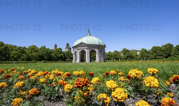 Diana Temple in the Hofgarten with yellow flowers and Theatine Church, Old Town, Munich, Upper