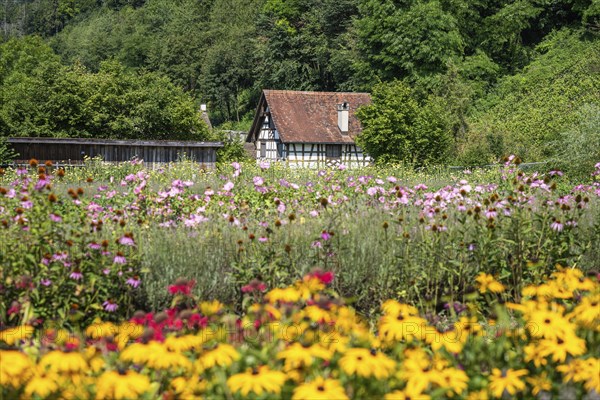 View over flower beds and herb garden, Ittingen Charterhouse, Warth-Weiningen near Frauenfeld,