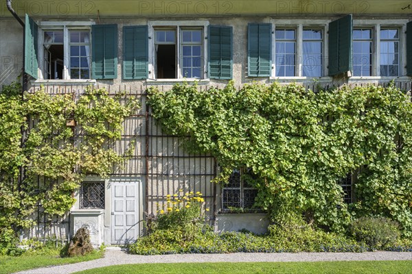 Detail of an old residential building with vines on the façade, Ittingen Charterhouse,