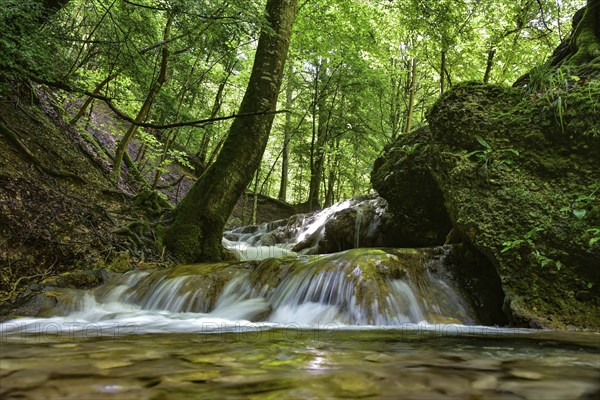 Waterfall at the Brühlbach stream in Bad Urach in the Swabian Alb, Baden-Württemberg, Germany,