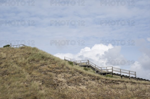Ascent to the viewing dune, Amrum, North Sea island, North Frisia, Schleswig-Holstein, Germany,