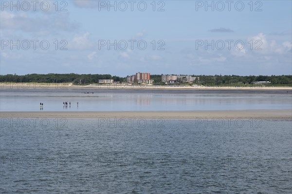 View of the coast of Wyk auf Föhr, mudflat hiker, North Sea coast, Föhr, North Sea island, North