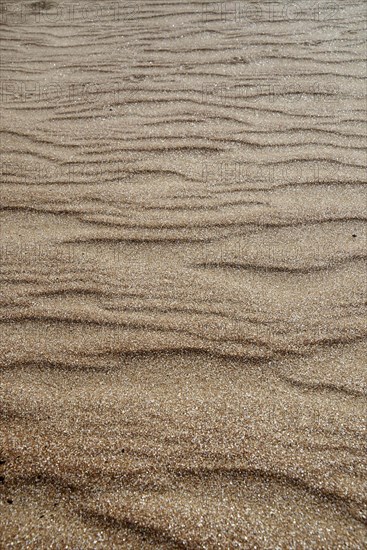 Brown-gold natural sand texture texture background, waves wallpaper background beach coast