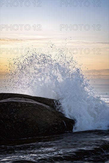 Ocean wave cresting with foam water glistening under sunlight, AI generated