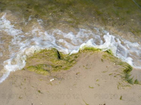 Water flowing onto the sandy beach on the island of Usedom on the Baltic Sea, Zempin,