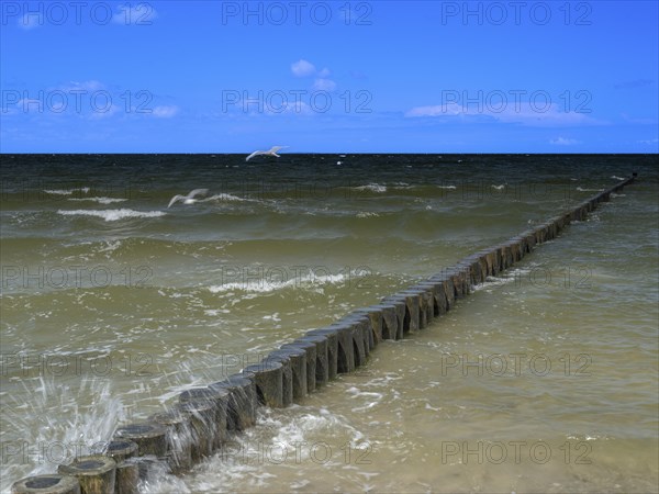 Spray splashes on a wooden groyne on a sandy beach on the Baltic Sea on the island of Usedom,