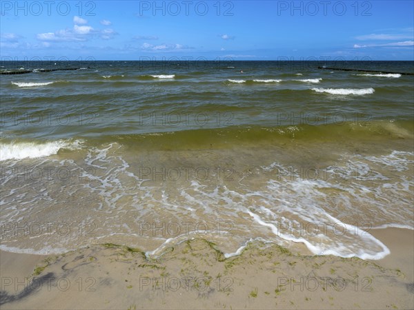 Water flowing onto the sandy beach on the island of Usedom on the Baltic Sea under a blue sky with