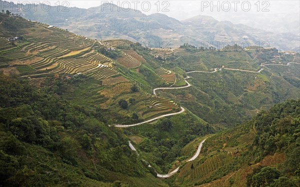 Road and terraced fields in the northern mountain landscape, Ha Giang province, Vietnam, Asia