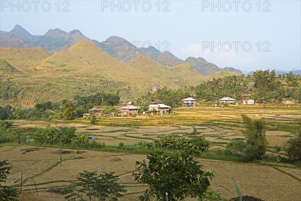 Karst hills and fields, Dong Van Karst Plateau UNESCO Global Geopark, Ha Giang Province, Vietnam,