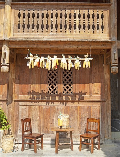 Corn on the corn cob hanging from a traditional house, Pa Vi Hmong Cultural Village, Meo Vac, Ha