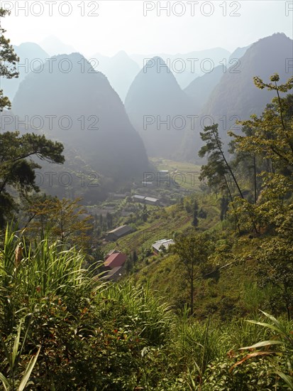 Karst rocks in the Dong Van Karst Plateau UNESCO Global Geopark, Ha Giang Province, Vietnam, Asia