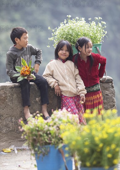 Vietnamese children selling flowers in the northern mountains, Ha Giang province, Vietnam, Asia