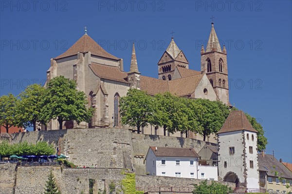 Historic church on a hill, surrounded by trees and an old stone wall, Cathedral, Breisach, Rhine,