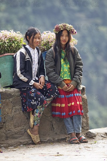 Vietnamese woman selling flowers in the northern mountains, Ha Giang province, Vietnam, Asia