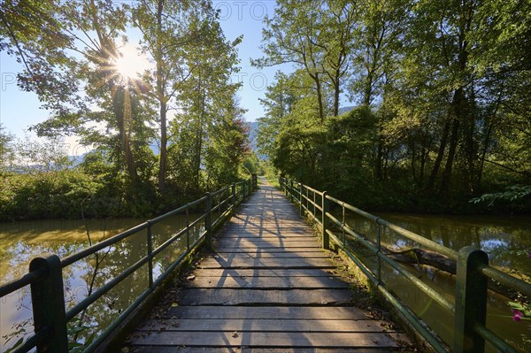 Hiking trail, cycle path, wooden bridge, sun, morning, summer, Tiebel estuary, Steindorf am Lake