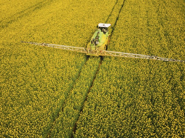 Crop protection products are applied to a rapeseed field on the outskirts of Dresden