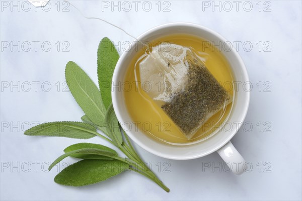 Sage tea with tea bag in cup, sage leaves