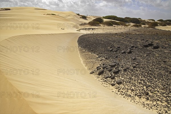 Dunes formed by blown in Sahara desert sand and volcanic rocks in the Deserto de Viana desert on