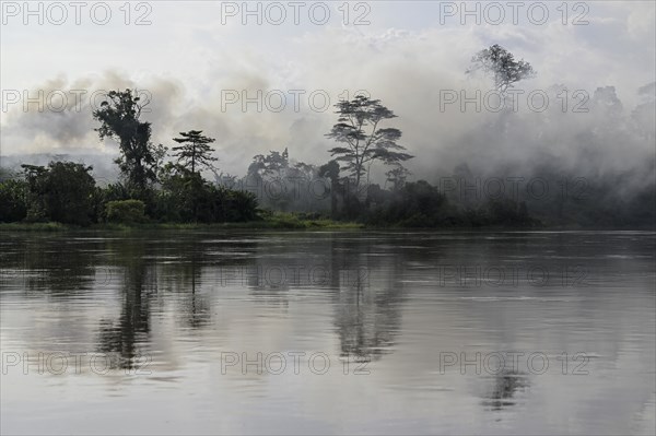 Fog over the rainforest along the Sangha River, Dzanga-Sangha Complex of Protected Areas (DSPAC),