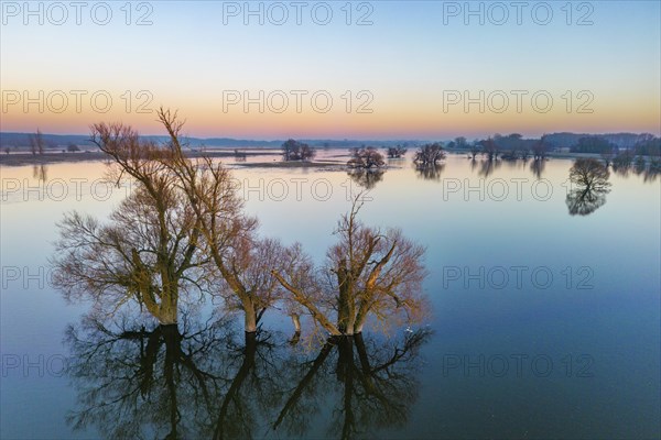 Aerial view, drone photo: Winter floods, trees and flooded meadows in the floodplains along the
