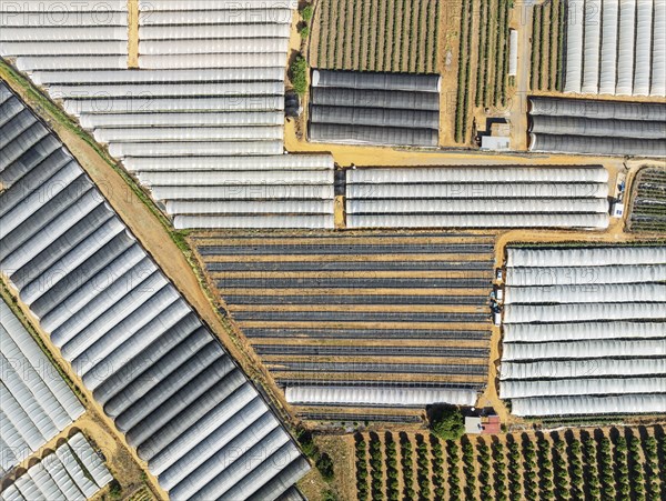 Plastic greenhouses with strawberry cultivations and other cultivated fields near the town of Lepe.