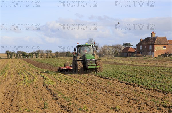 Tractor working in vegetable field in springtime, Bawdsey, Suffolk, England, UK