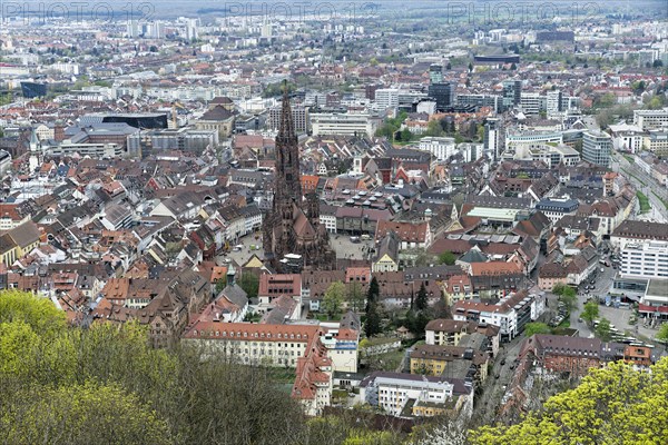 View from the Schlossberg to the Münsterplatz, the Freiburg Cathedral of Our Lady, Old Town, New
