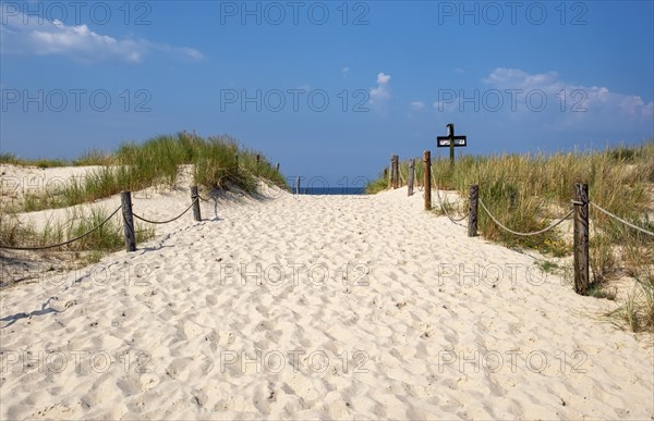 Sandy trail, Slovincian National Park, Slowinski Park Narodowy, Poland, Europe