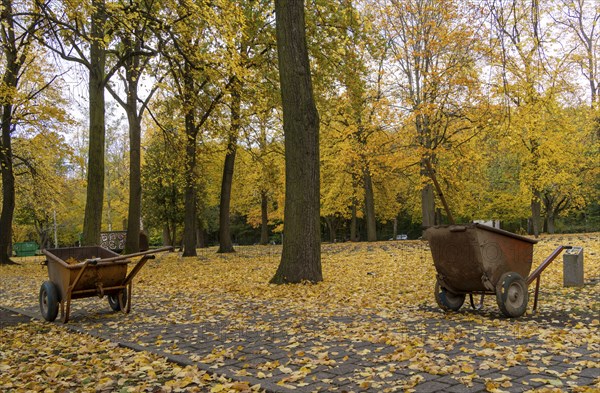 Autumn time, Volkspark Rehberge, war graves, memorial site, Berlin, Germany, Europe