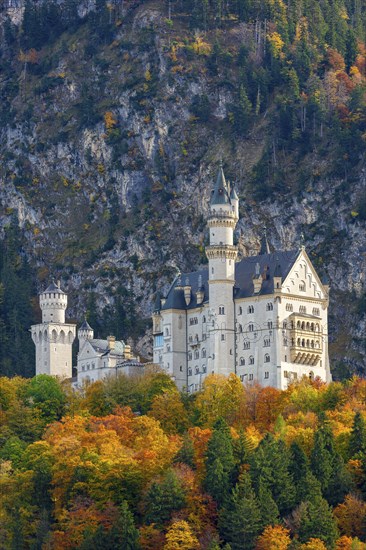 Neuschwanstein Castle in autumn, Schwangau, OstallgÃ¤u, AllgÃ¤u, Swabia, Upper Bavaria, Bavaria,