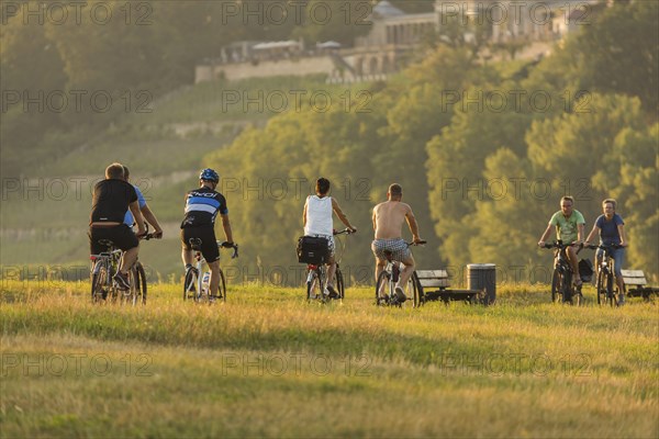 Cyclists on the Elbe cycle path in the evening light in front of Albrechtsberg Castle