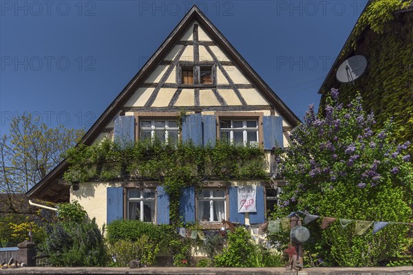 Old half-timbered farmhouse, Baden-Württemberg, Germany, Europe