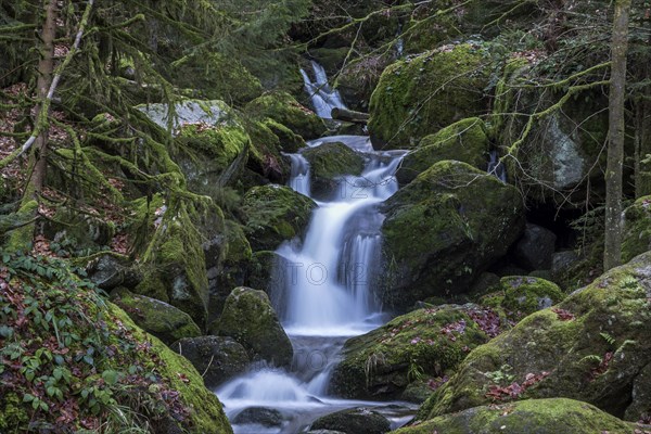 Gertelbach, Gertelbach Waterfalls, Gertelbach Falls, Gertelbach Gorge, Bühl, Bühlertal, Northern