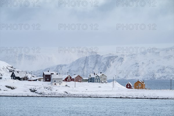 Colourful houses in a snowy landscape, fishing village Kongsfjord, Berlevag, Varanger Peninsula,