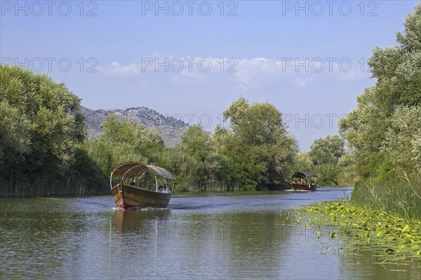 Tourist boats near Virpazar on the Crmnica river which flows into Skadar Lake, Skadarsko Jezero