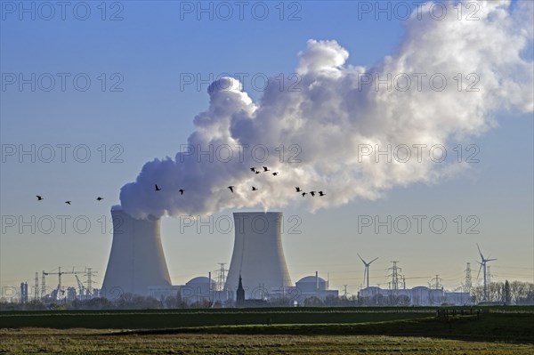 Geese flying in front of cooling towers of the Doel Nuclear Power Station, nuclear power plant in