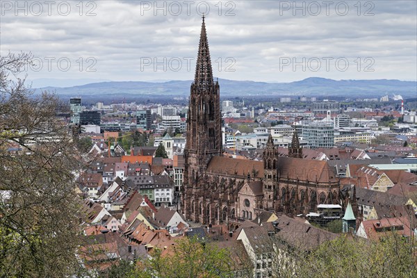 View from the Schlossberg to the Münsterplatz, the Freiburg Cathedral of Our Lady, Old Town, New