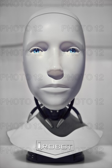 Head of the humanoid robot NS-5-Robot from the film I, Robot