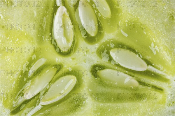 Macro photo of a cut open cucumber (Cucumis sativus)