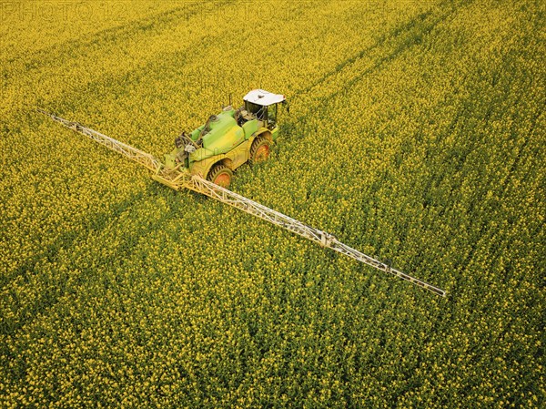 Crop protection products are applied to a rapeseed field on the outskirts of Dresden