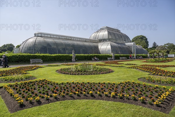 Palm House, oldest Victorian greenhouse in the world, Royal Botanic Gardens, Kew, London, England,