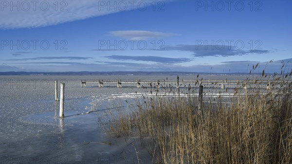 Frozen lake with ice in winter, Lake Neusiedl, Podersdorf am See, Burgenland, Austria, Europe