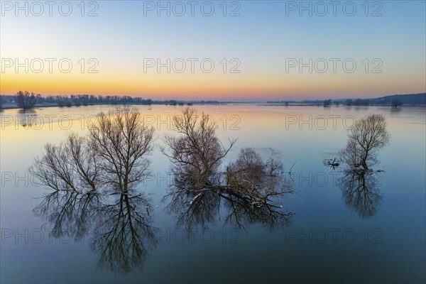 Aerial view, drone photo: Winter floods, trees and flooded meadows in the floodplains along the