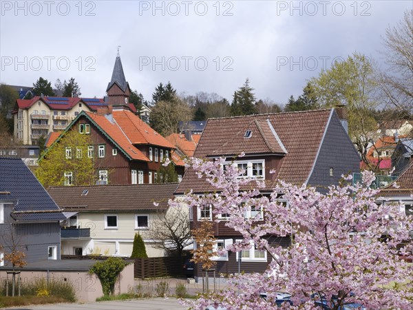 Village view, Braunlage, Harz, Lower Saxony, Germany, Europe