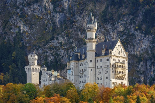 Neuschwanstein Castle in autumn, Schwangau, OstallgÃ¤u, AllgÃ¤u, Swabia, Upper Bavaria, Bavaria,