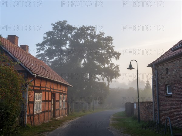 Old farmhouse on village street, half-timbered with bricks, lantern, morning mist, Schlepzig,