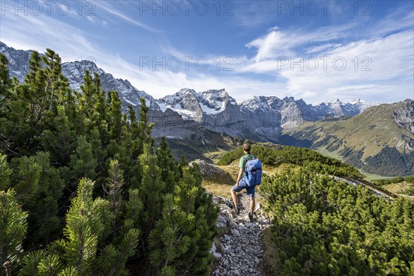Mountaineer on a hiking trail with mountain pines, mountain panorama with rocky steep peaks, view