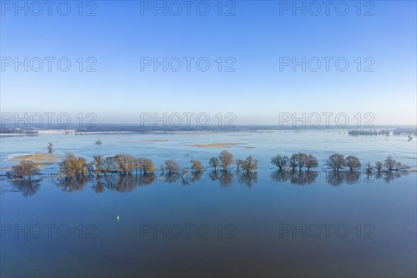 Aerial view, drone photo: Flood, flooded meadows in the floodplains along the river Oder, GroÃŸ